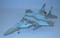 F15��������ʥ֥롼��