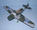 Electric P-40 Warhawk